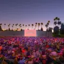 Cinespia Celebrates 25 Years with Iconic Film Screenings at Hollywood Forever Cemetery