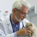 Elanco Animal Health: Poised for Significant Growth with New Blockbuster Products and Strategic Ventures