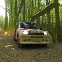 Forza Horizon 6 Bamboo Bash: Locate and Conquer Bamboo Forests