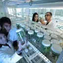 Abbott Laboratories to Face Lawsuit Over PediaSure 'Growth' Claims