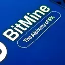 Bitmine's Strategic Ethereum Acquisition Amidst Market Downturn