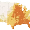 US Braces for Record-Breaking Heatwave Ahead of Holiday Weekend