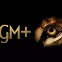 Directors Guild Pension Plan Sues MGM Over Alleged Self-Dealing in Licensing Agreements