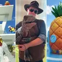 Universal Kids Resort: A Comprehensive Guide to Texas' New Family Theme Park