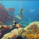 Subnautica 2 Legal Dispute Settles, CEO Departs