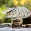 Personal Loans in New Zealand: Understanding Your Borrowing Options