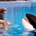 Warner Bros. Developing "Free Willy" Reboot with AGBO Producing