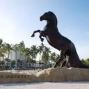 Mediawan Expands Game Show 'Trojan Horse' Across Europe