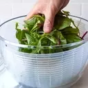 The Ultimate Guide to Salad Spinners: Reviews and Top Picks