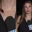 Unflappable Reporter's Cockroach Encounter Goes Viral