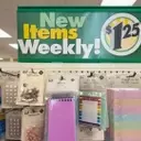 Dollar Tree's Bold Strategy: Closing 'Substandard' Stores and Revitalizing the Brand