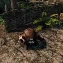 Internet's Favorite Raccoon, Jimothy, Invades Video Games