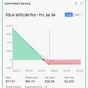 Protecting Tesla Investments Against Potential Downturns