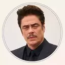 Benicio Del Toro Cast in Apple TV's 'Protective Custody' Comedy Series