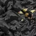 Western Governments Step Up in Rare Earth Metals