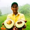 Mission Produce: A Post-Merger Assessment