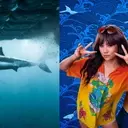 Comprehensive Guide to Watching Shark Week 2026 Online