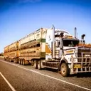 Transportation Sector Performance: A Tale of Two Trends Amid Rising Fuel Costs
