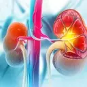 Eledon Pharmaceuticals: High Upside Potential in Tegoprubart Despite Single-Asset Risk