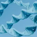 Design Therapeutics Faces Market Scrutiny Over Friedreich's Ataxia Drug Data