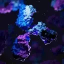 Immunovant's IMVT-1402: A Promising Antibody for Autoimmune Diseases