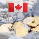 ClearBridge Canadian Small Cap Strategy's Q2 Performance Analysis