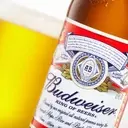 Anheuser-Busch InBev: A Closer Look at Recent Performance and Future Prospects
