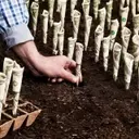 Top Dividend Energy Stocks for August: A Comprehensive Analysis