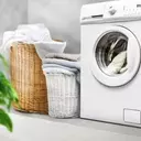 EVI Industries: Navigating Growth and Profitability