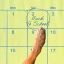 Preparing Your Canine Companion for the Back-to-School Transition