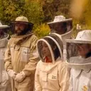 Veterinary Students Expand Focus to Honeybee Health