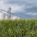 Alto Ingredients: A Promising Investment in Renewable Fuels