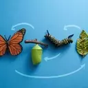 Caterpillar's AI Infrastructure Momentum vs. Valuation Risks