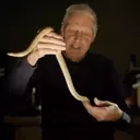 HBO's 'Monsters of God' Explores the Nuances of Reptile Trafficking