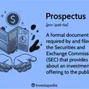 Understanding the Prospectus: A Guide for Investors