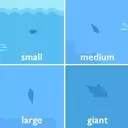 Comprehensive Fishing Guide for Fields of Mistria