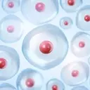 Corvus Pharmaceuticals: Advancing Soquelitinib for PTCL and Atopic Dermatitis