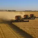 Diversifying Investments: Exploring Opportunities in the Agricultural Sector