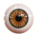 Aura Biosciences: A Deep Dive into Ocular Oncology and Bel-sar's Market Potential