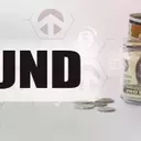 Voya MidCap Opportunities Fund: Outperforming in a Resilient Market
