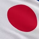 Understanding the JPMorgan BetaBuilders Japan ETF (BBJP): Features, Risks, and Alternatives