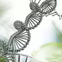 Immunome's Strategic Leap: A Strong Buy for Biotech Investors