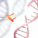 Prime Medicine's Gene-Editing Platform: A Deep Dive into Innovation and Market Potential