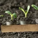 Virtus KAR Small-Mid Cap Growth Fund Q2 Performance Review