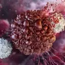 Artiva Biotherapeutics: Pioneering NK Cell Therapy for Autoimmune Diseases