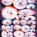 The Ethical Dilemma of Pet Cloning: Replicating Companionship
