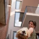 A Touching Farewell: Simon, the Beloved Dog Who Touched Millions, Embarks on a Cosmic Journey