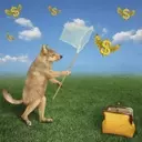 Top Monthly-Paying Dividend Stocks for August 2027