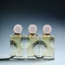 Estée Lauder Achieves Robust Q4 Sales Growth and Positive Outlook