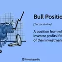 Understanding Bull Positions in Investment: A Comprehensive Guide